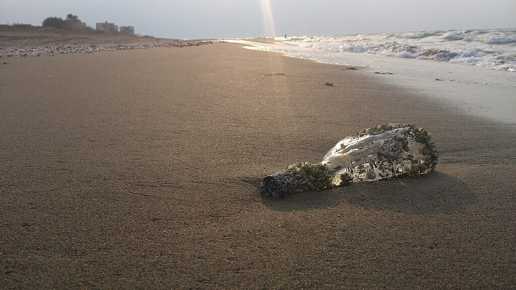 Caspian Sea faces ‘triple planetary crisis’: Can new cross-border rules save it?